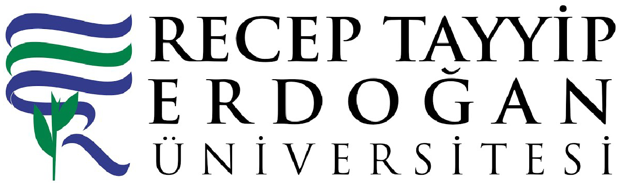 erdogan university